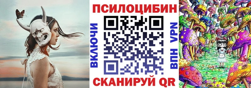 где найти   Мценск  Псилоцибиновые грибы прущие грибы 